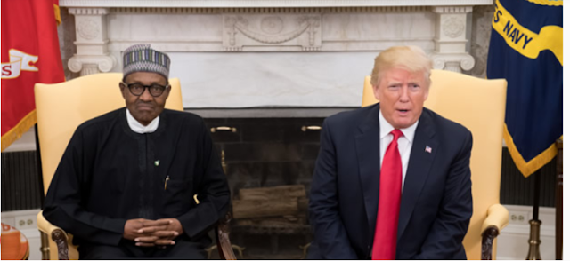 Angry Nigerians ambush Donald Trump for calling their president , Buhari so " Lifeless "