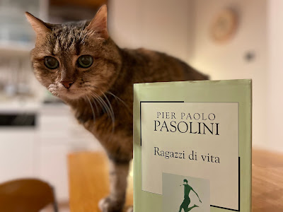 pasolini_foto_monica_galeotti