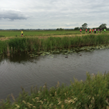 Album weergeven