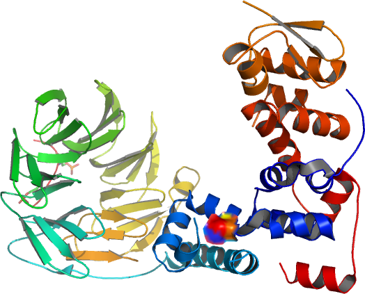 Structure Of A
Beta-Trcp1-Skp1-Beta-Catenin Complex: Destruction Motif