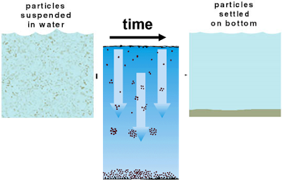 Sedimentasi