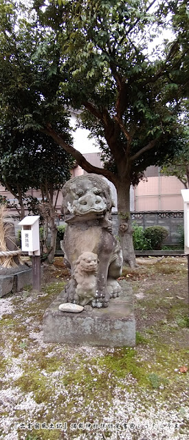 大山神社　狛犬