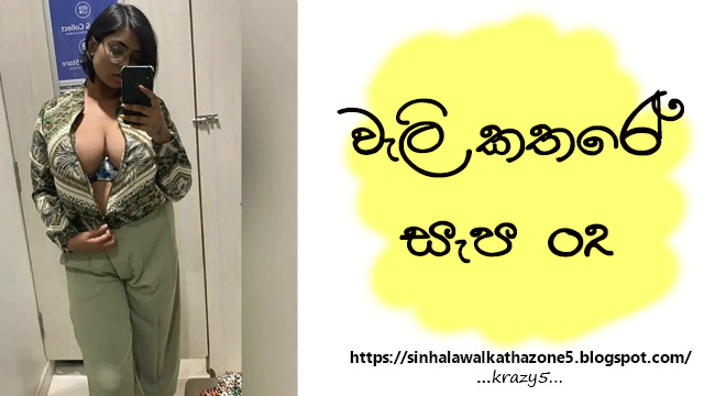 Wali Kathare Sapa | වැලි කතරේ සැප 02