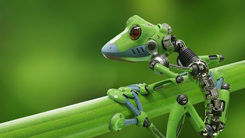 Nature's Design: Biomimicry and the Future of Engineering