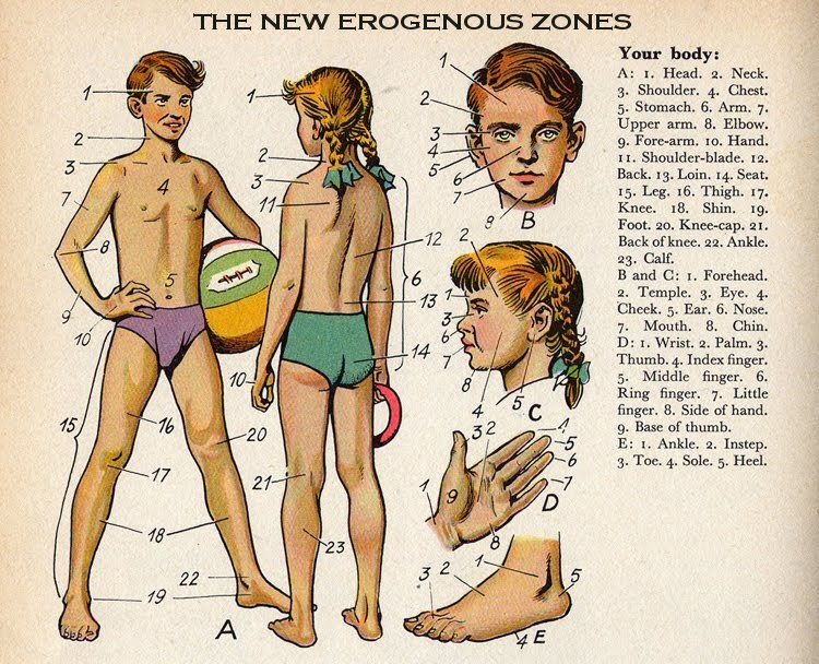 The New Erogenous Zones