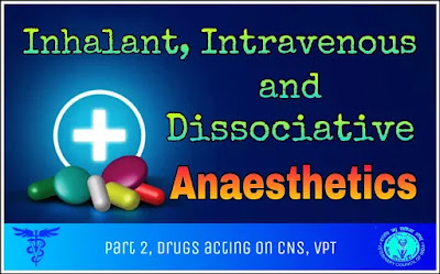 Inhalant, Intravenous and Dissociative Anaesthetics