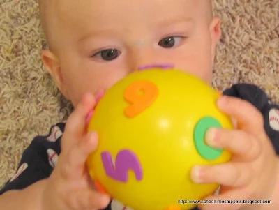 Sensory Activity for Babies