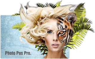 Photo Pos Pro v3 - logo