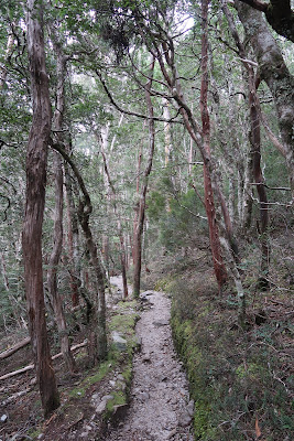 Cradle Mountain