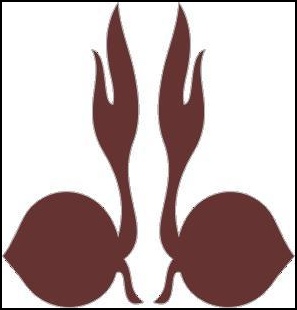 Bentuk dan Arti Kiasan lambang pramuka ( Tunas kelapa )