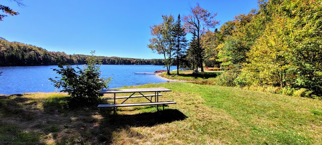 Picnic table on the shore of a blue lake lined with trees..