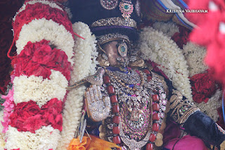 Aani,Naachiyaar Thirukolam, Purappadu , Vahanam,Sri Theliya Singar, Yoga Narasimhar,Brahmotsavam ,Purappadu,Video, Divya Prabhandam,Sri Parthasarathy Perumal, Triplicane,Thiruvallikeni,Utsavam,