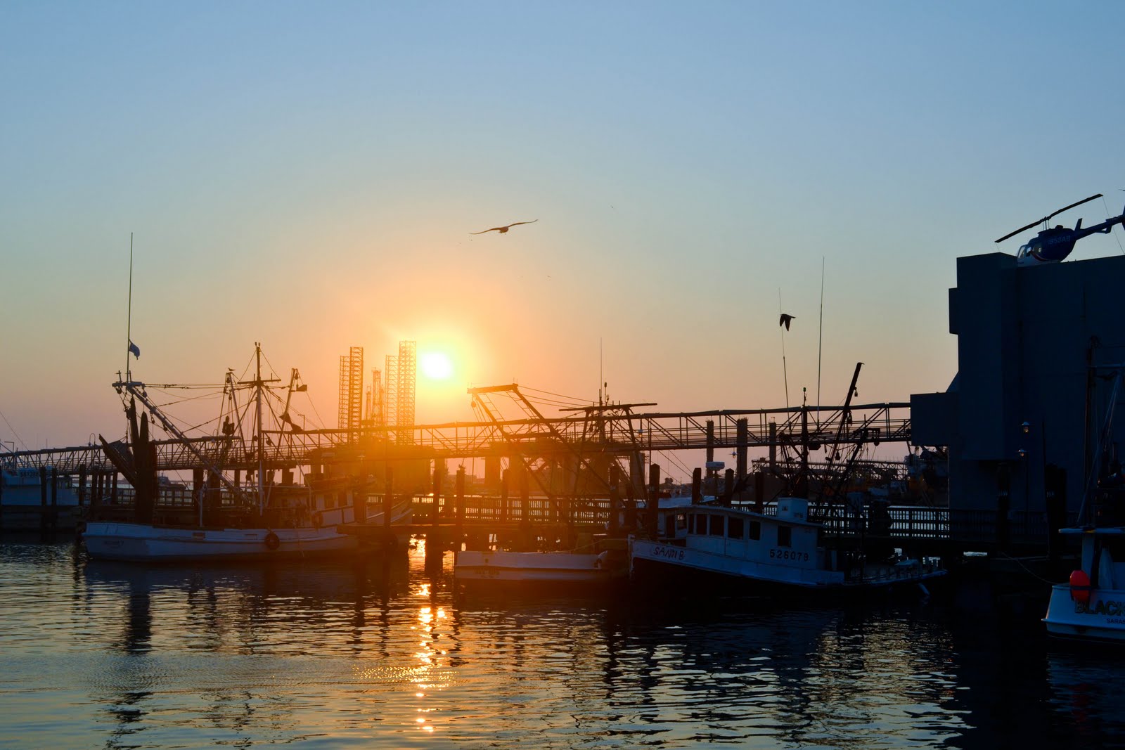 UTMB Resiterns: Galveston Party Boats - 12 hour Fishing Trip