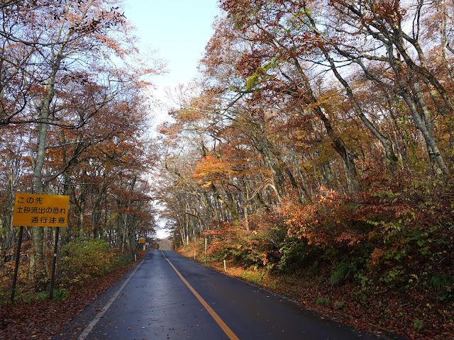 鳥取県道45号倉吉江府溝口線（大山環状道路）の紅葉