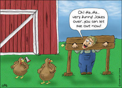 Funny Turkey Pictures