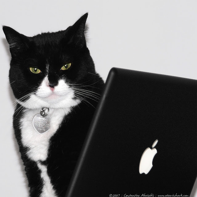 pixie, macbook guardian by atomicshark from flickr (CC-NC-SA)