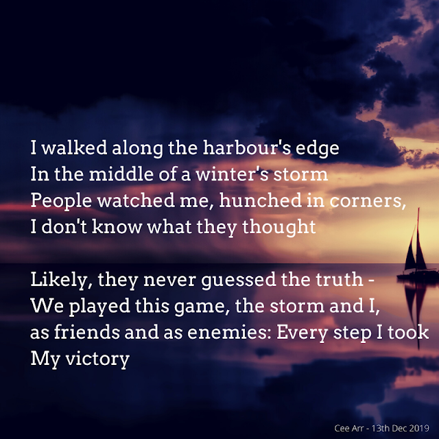 13th Dec //   I walked along the harbour's edge / In the middle of a winter's storm  / People watched me, hunched in corners,  / I don't know what they thought   //  Likely, they never guessed the truth -  / We played this game, the storm and I,  / as friends and as enemies: Every step I took /  My victory