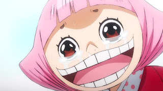 One Piece 第941話 人造悪魔の実smileの真実 ネタバレ