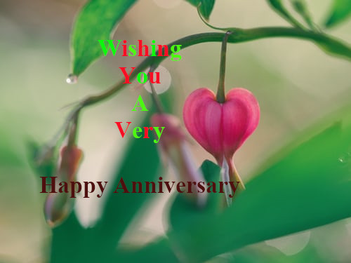 Happy Marriage Anniversary.