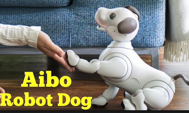 robot dog , aibo