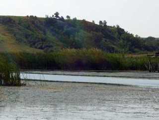 There were some areas with fast flows of water, or deeper, where the weeds did not reach the surface.