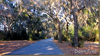 Harris Neck NWR_002