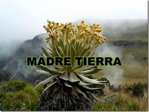 madretierra