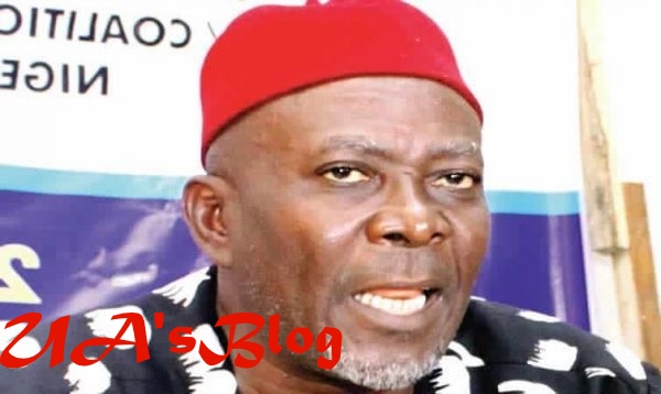 Ohanaeze’s Secretary to Igbo on 2023: Amaechi’s right, you can’t be president