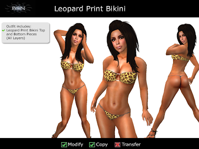 BSN Leopard Print Bikini