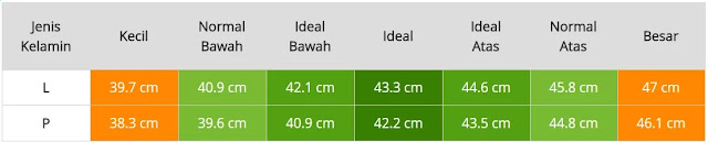 Tabel Ukuran Lingkar Kepala Bayi Usia Enam Bulan