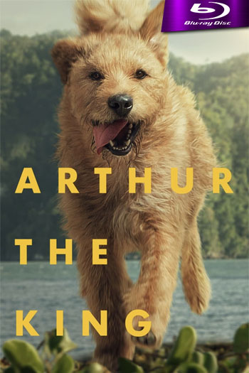 Arthur: Una Amistad sin Limites (2024)[BDRIP 1080p][Dual][GoogleDrive+1fichier]
