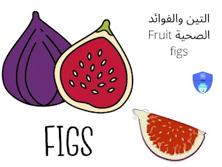 التين والفوائد الصحية Fruit figs