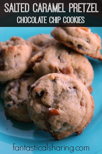 Fantastical Sharing of Recipes: The Great Food Blogger Cookie Swap 2013: Salted Caramel Pretzel 