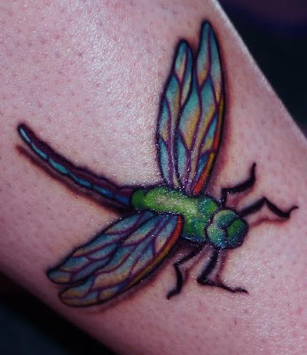 Dragon fly tattoo