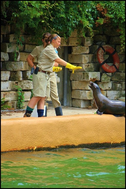 Zoo4 411