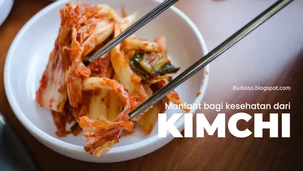 Beberapa manfaat mengonsumsi kimchi bagi kesehatan tubuh - Budioso.blogspot.com