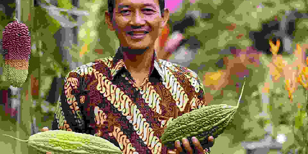 Pare Bisa Jaga Kesehatanmu