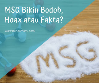 MSG Bikin Bodoh, Hoax atau Fakta?