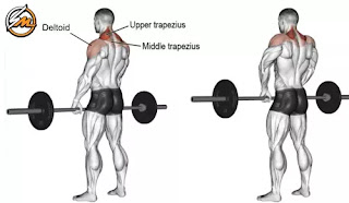 Top 6 Exercises to Strengthen Your Back