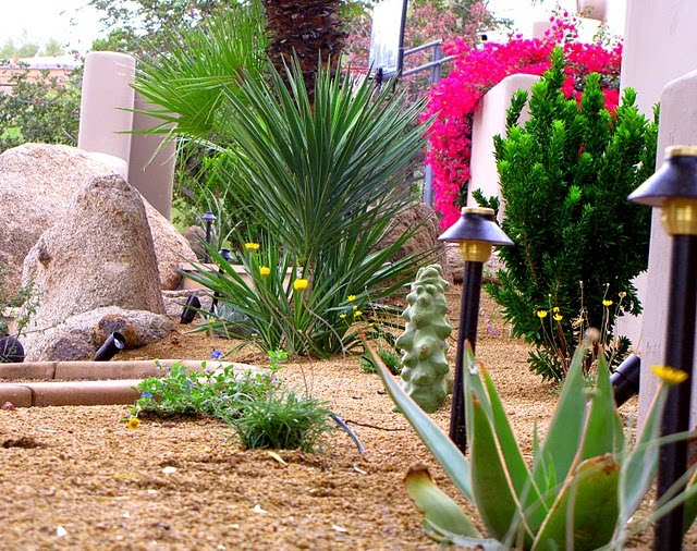 a unique desert landscape