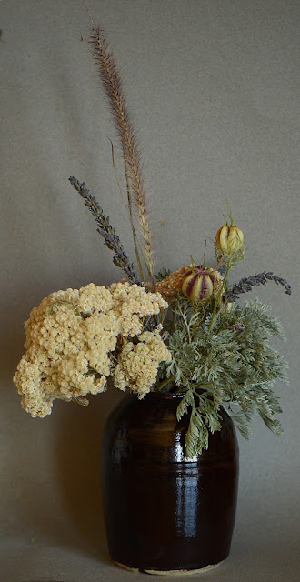 monday vase meme, artemesia, ozothamnus, nigella, ceramics, amy myers, small sunny garden, desert garden