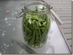 jar of sring beans