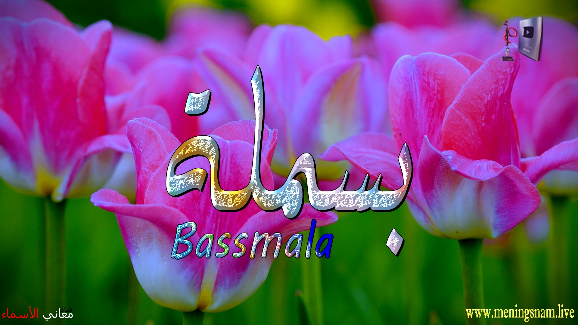 معنى اسم, بسملة, وصفات, حاملة, هذا الاسم, Bassmala,