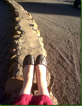 IMG00470-20110508-1621