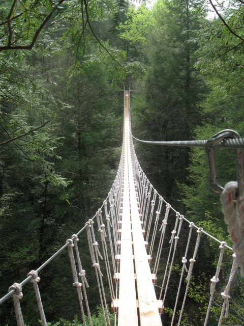 Bridges: Rope Bridge