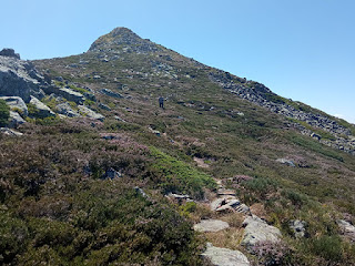 Ascensión al Pico del Lago