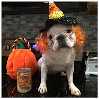 http://daisythefrenchbulldog.blogspot.com/2015/09/tastytuesday-dog-friendly-cinnamon.html