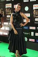 Rakul Preet Singh Sizzles in a Sleeveless Dress at IIFA Utsavam Awards 2017  Day 2  Exclusive 56.JPG