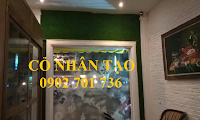 cỏ nhân tạo trang trí quán cafe