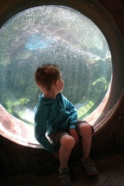 zoo, soccer 034